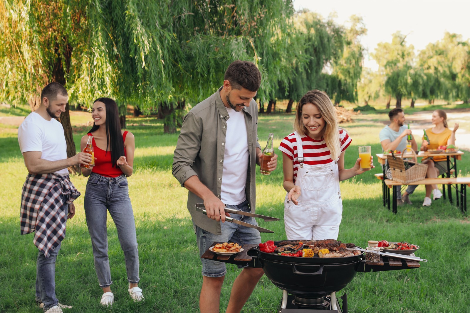 Photo of group of friends having barbecue party in park