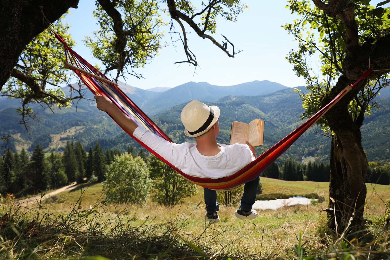 Photo of man reading book in hammock outdoors on sunny day