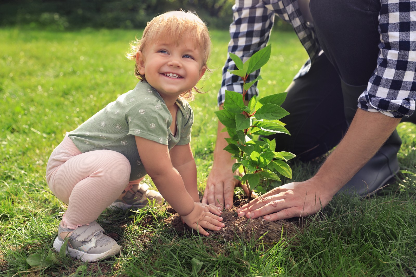 Photo of father and his baby daughter planting tree together in garden, closeup