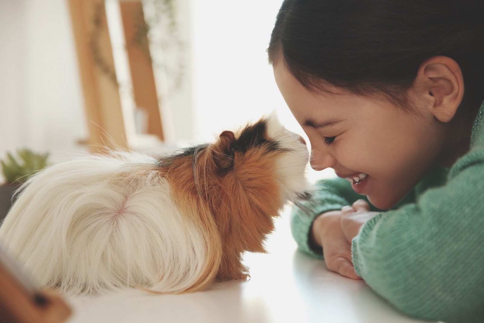 Photo of happy little girl with guinea pig at home. Childhood pet