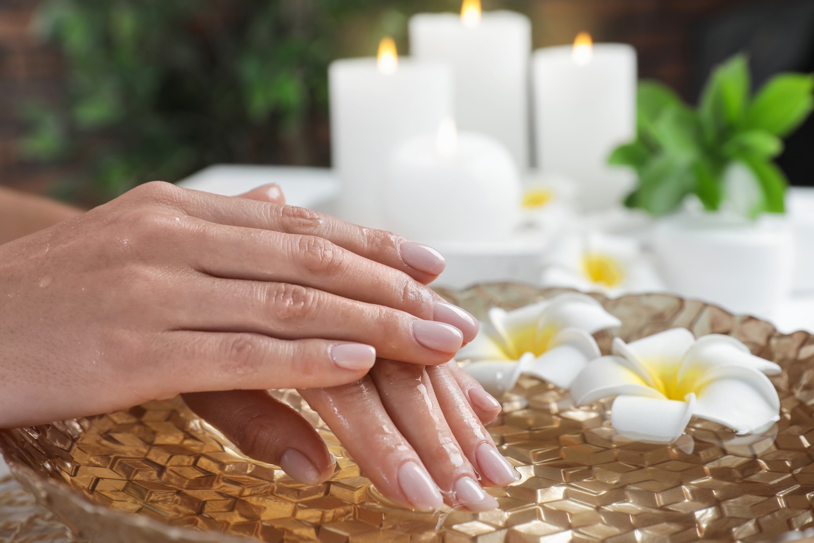 Photo of woman soaking her hands in bowl of water and flowers, closeup with space for text. Spa treatment