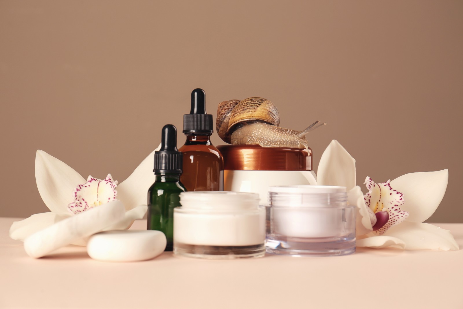 Photo of organic cosmetics made with mucin, snail, spa stones and beautiful flowers on table
